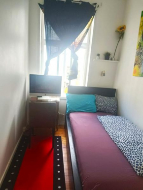 Single and Cozy Oslo